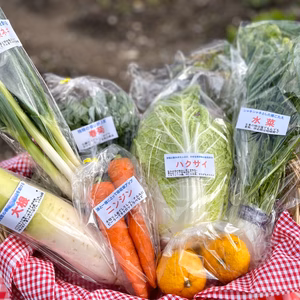【中学生プロデュース！】90歳のおじいちゃんと2人で作った冬限定 お鍋BOX
