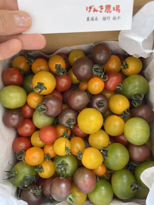 みんなの投稿の画像