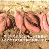 さつまいも（紅はるか）長期間地下室熟成で甘い 大分県産　Mサイズ４．５ｋｇ