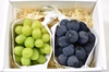 数量限定 ハウス栽培 ナガノパープルとシャインマスカットの詰合せ