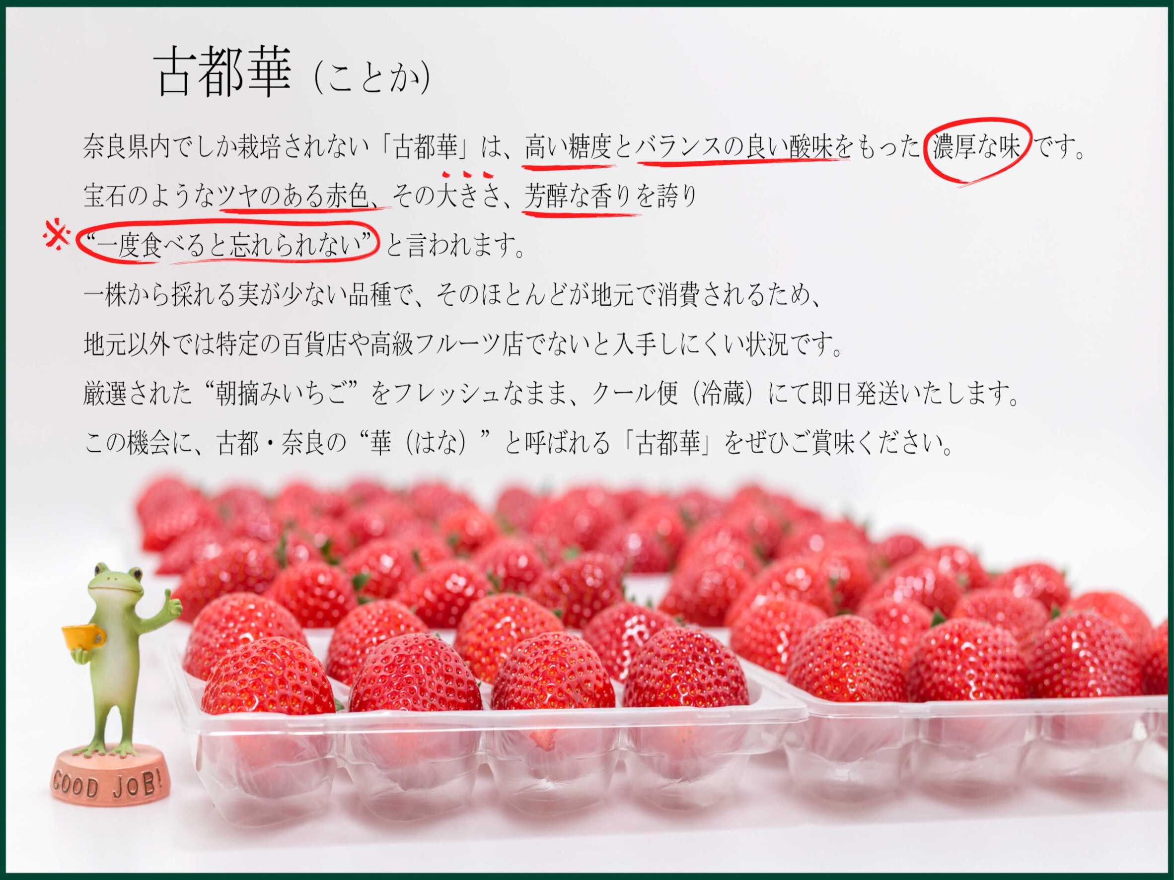 完熟いちご 古都華” 8～15粒（270～320ｇ）×2パック（家庭用