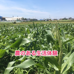 【農の生活体験】農園で過ごす農的生活のススメ