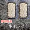 【母の日ギフト】 生しらす 沼津産 しらす 生シラス いわし稚魚 刺身 魚 冷凍
