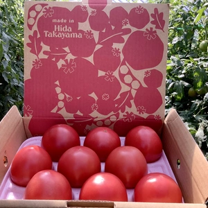 霜降り大玉トマト『麗月』9玉入り✖️2箱