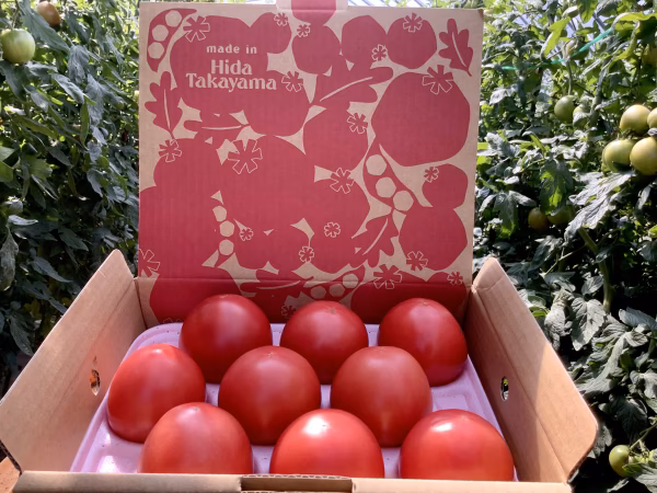 霜降り大玉トマト『麗月』9玉入り✖️2箱