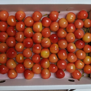 佐藤錦B級品2箱重ね