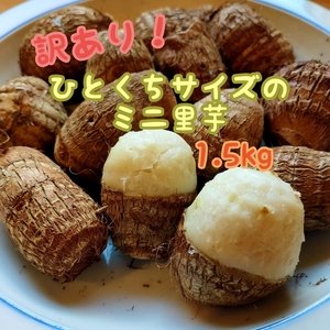 【訳あり】【有機栽培】ひとくちサイズのミニ里芋 1.5kg