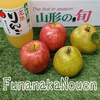 ■山形の旬お試しセット■ラフランス＆完熟みつ入りふじりんご＆ふじりんごジュース