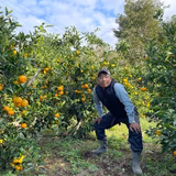 杉本 肇 | 「ポンコツはじめ農園」