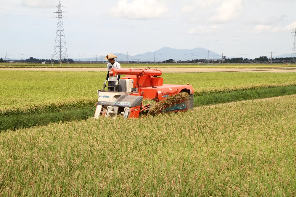 精米　内山農園のコシヒカリ【匠】（特別栽培米）