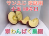 激安セール！　蜜入り　サンふじ　家庭用　小玉　長野県産