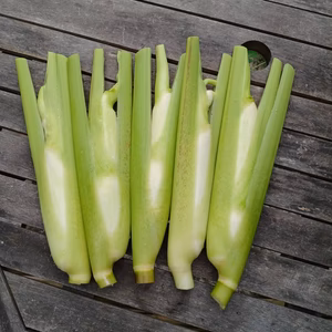 ”いまダケ”マコモダケ　農薬・肥料不使用