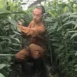 澤村知秀