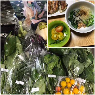 みんなの投稿の画像