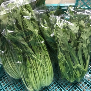 お鍋の具材~葉物編~　水菜VS菊菜