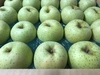 【甘い】青森県産りんご「王林」家庭用 きずあり 5kg 【フルーツキャップ】