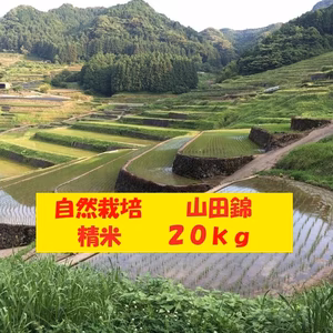 【４月セール】自然栽培「山田錦」精米　２０ｋｇ