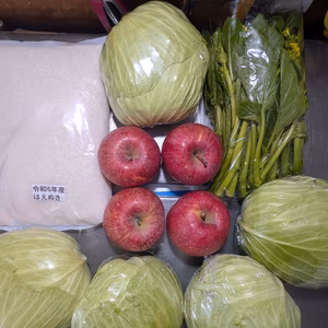 キャベツ、アスパラ菜、お米、リンゴ
