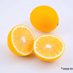 冬はホットレモネード！国産マイヤーレモン