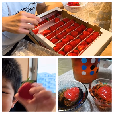 みんなの投稿の画像