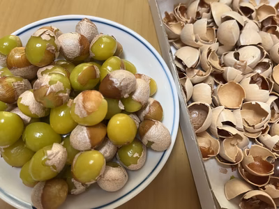 みんなの投稿の画像