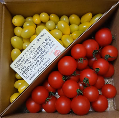 みんなの投稿の画像