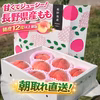 [2026年予約限定]王道の甘さとジューシーを兼ね揃えたもも たけだ農園完熟もも
