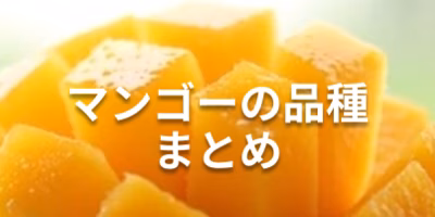 マンゴー品種の特徴とおすすめの食べ方