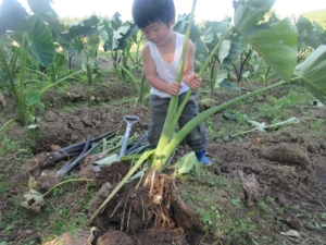 14671096_1093817477392698_5212029449253589663_n