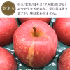 【予約開始！11月中旬発送】青森県産りんご「サンふじ」家庭用 贈答用 光センサ