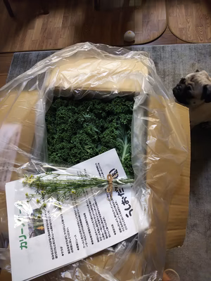 みんなの投稿の画像