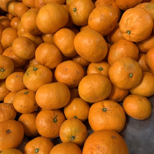 愛媛の小さい早生みかん 箱込3キロ❣️甘く小さいのを少しだけ❣️