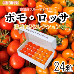 【母の日ギフト】フルーツトマト「ポモ・ロッサ」陽だまりセレクション　24粒入り