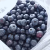 収穫した日に冷凍！無農薬！冷凍ブルーベリー　1kg