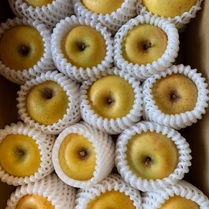 ※蜜どけりんご※『黄金のサンふじ』ハネ（規格外品）３Kg