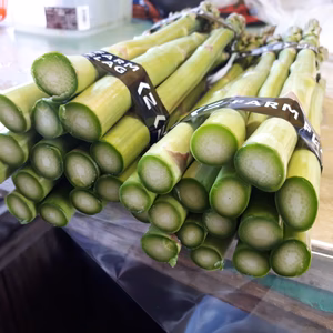 初夏あっぱらがす 標準サイズ1㎏ & 増量中♥️