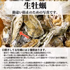 数優先の方におススメ ＳＳサイズ 牡蠣 13kg殻付き 牡蠣 殻付き　加熱用