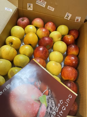 みんなの投稿の画像