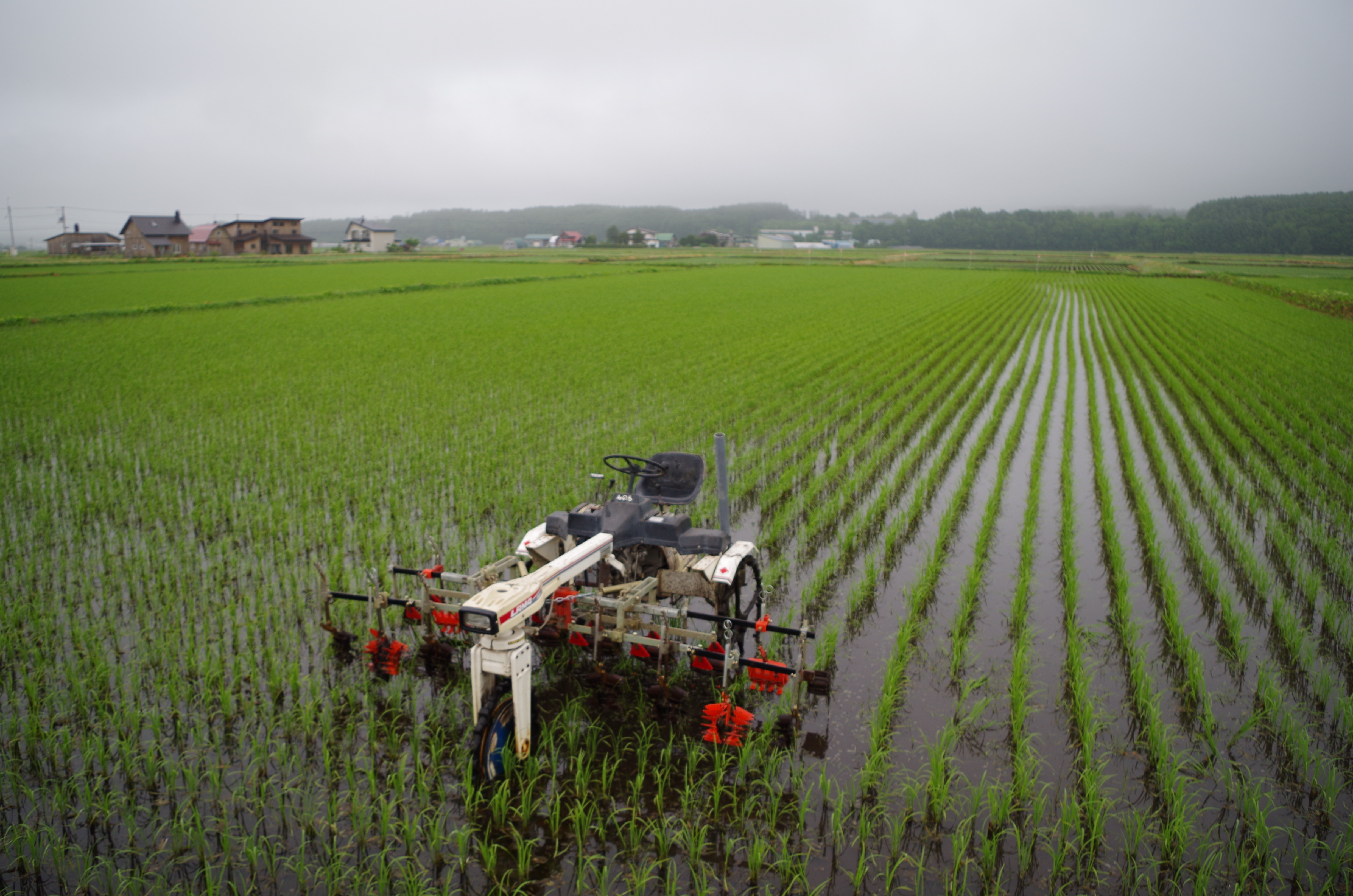 北海道上川郡東川町｜さたけ農園｜佐竹国広さんの生産者プロフィール