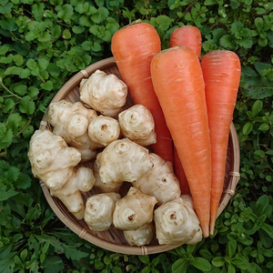 菊芋と人参のセット ✽ 農薬化学肥料不使用　