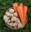 菊芋と人参のセット ✽ 農薬化学肥料不使用　