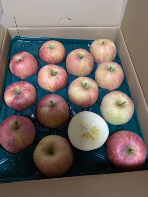 みんなの投稿の画像