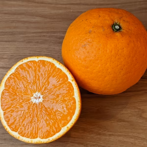 【世界農業遺産認定】下津の石段畑が育てた、品のある甘さ　清見オレンジ