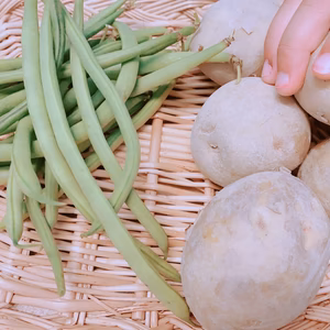インゲン500g、じゃがいも1kgセット！【栽培期間中、化学肥料、農薬不使用】
