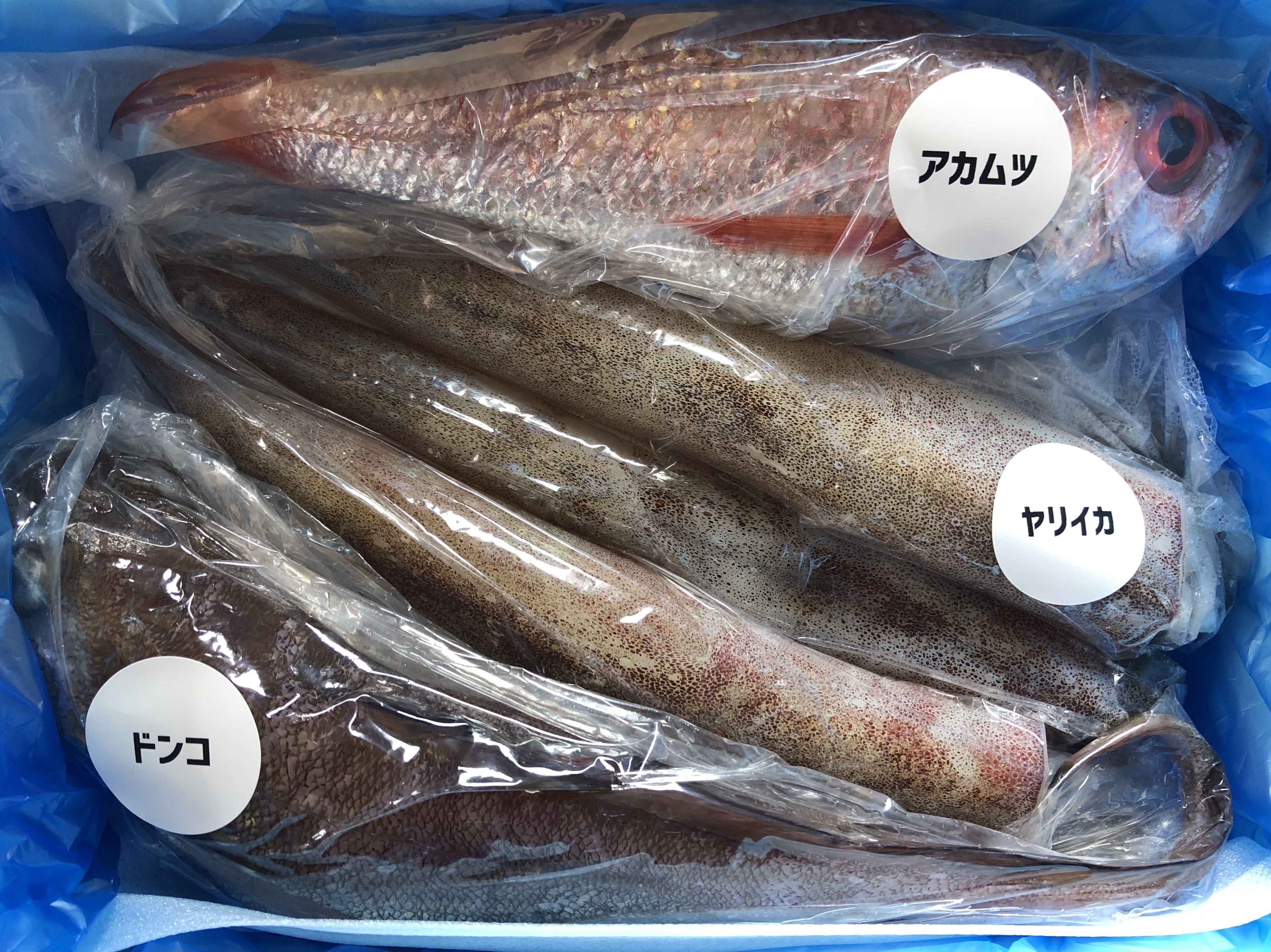 お魚好きの貴方へ おまかせ詰め合わせセット 農家漁師から産地直送の通販 ポケットマルシェ