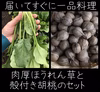 届いてすぐに一品料理！肉厚ほうれん草と殻付き胡桃のセット