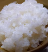 【無洗米】で家事をラクに♡ふっくらごはん♡ミルキークイーン 白米 令和2年産 