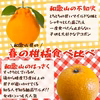 高糖度紅はっさく+和歌山の不知火セット10kg 減農薬！濃い！甘い！紅八朔