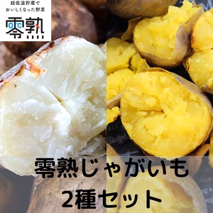 甘みが特長！「最高金賞受賞」零熟インカのめざめと零熟男爵セット（サイズ混在）