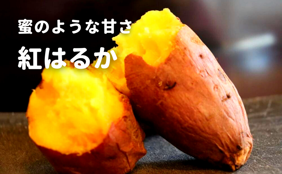 マツコの知らない世界】焼き芋の世界の特集で「サツマイモ」が多数紹介